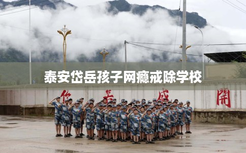 泰安岱岳孩子网瘾戒除学校