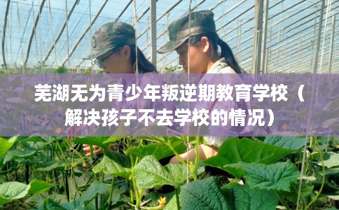 芜湖无为青少年叛逆期教育学校（解决孩子不去学校的情况）