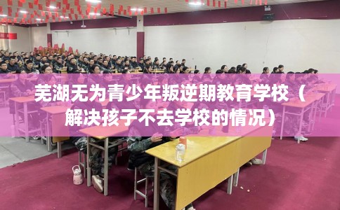 芜湖无为青少年叛逆期教育学校（解决孩子不去学校的情况）