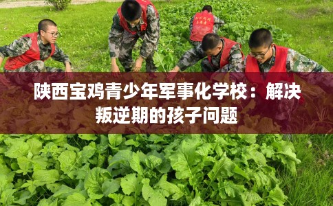 陕西宝鸡青少年军事化学校：解决叛逆期的孩子问题
