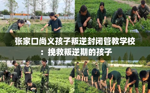张家口尚义孩子叛逆封闭管教学校：挽救叛逆期的孩子