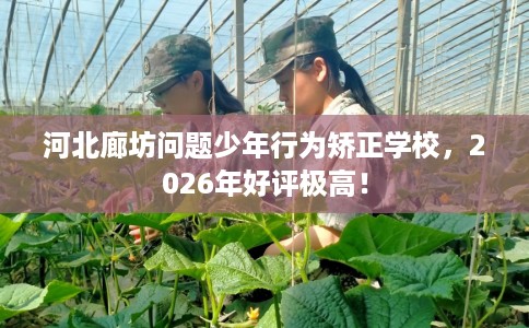 河北廊坊问题少年行为矫正学校，2026年好评极高！