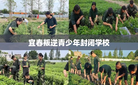 宜春叛逆青少年封闭学校