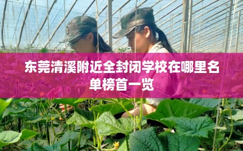 东莞清溪附近全封闭学校在哪里名单榜首一览