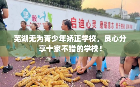 芜湖无为青少年矫正学校，良心分享十家不错的学校！