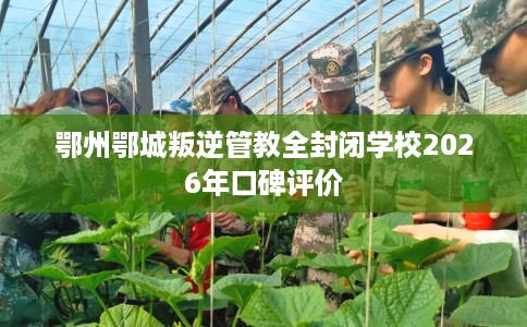 鄂州鄂城叛逆管教全封闭学校2026年口碑评价