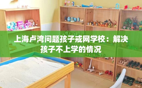 上海卢湾问题孩子戒网学校：解决孩子不上学的情况