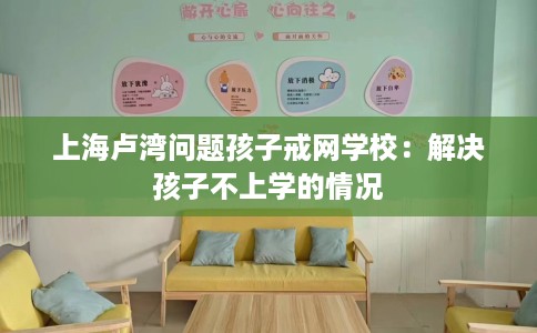 上海卢湾问题孩子戒网学校：解决孩子不上学的情况