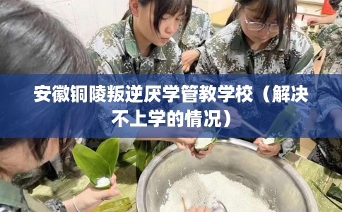 安徽铜陵叛逆厌学管教学校（解决不上学的情况）