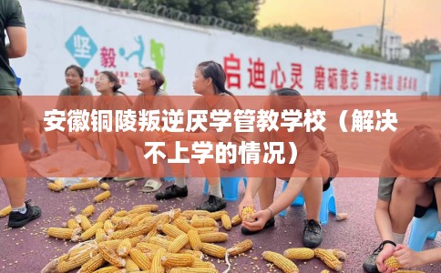 安徽铜陵叛逆厌学管教学校（解决不上学的情况）