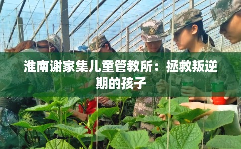 淮南谢家集儿童管教所：拯救叛逆期的孩子