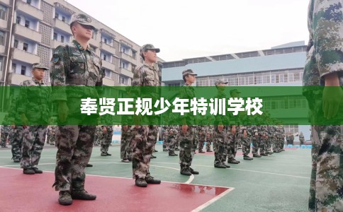 奉贤正规少年特训学校