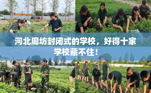 河北廊坊封闭式的学校，好得十家学校藏不住！
