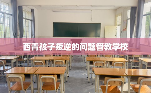 西青孩子叛逆的问题管教学校