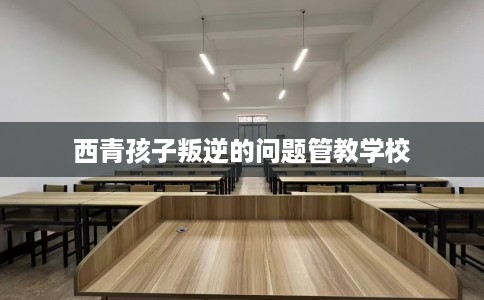 西青孩子叛逆的问题管教学校