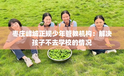 枣庄峄城正规少年管教机构：解决孩子不去学校的情况