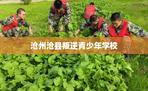 沧州沧县叛逆青少年学校