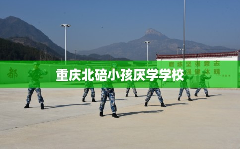 重庆北碚小孩厌学学校
