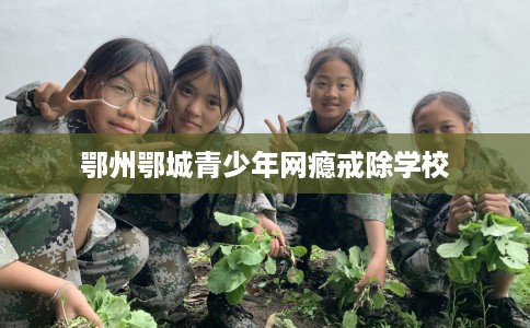 鄂州鄂城青少年网瘾戒除学校
