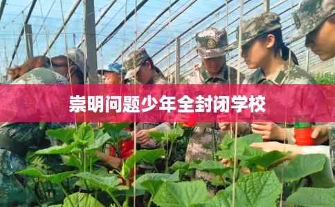 崇明问题少年全封闭学校
