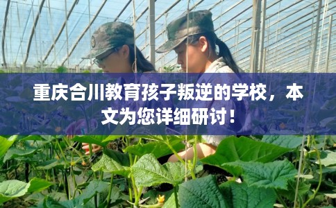 重庆合川教育孩子叛逆的学校，本文为您详细研讨！