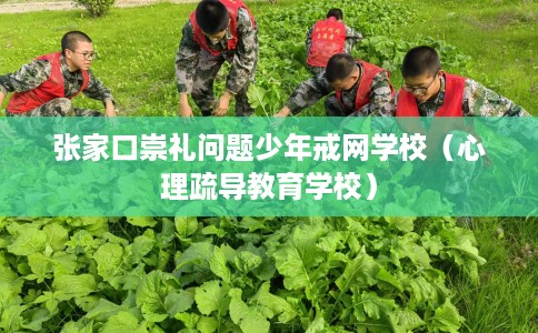 张家口崇礼问题少年戒网学校（心理疏导教育学校）