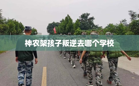 神农架孩子叛逆去哪个学校