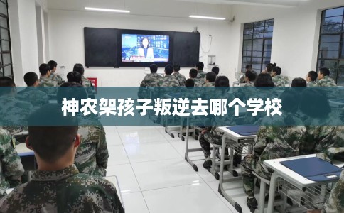 神农架孩子叛逆去哪个学校