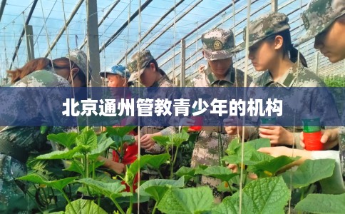 北京通州管教青少年的机构
