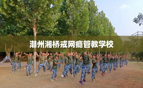 潮州湘桥戒网瘾管教学校