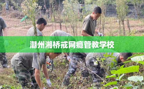 潮州湘桥戒网瘾管教学校