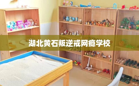 湖北黄石叛逆戒网瘾学校