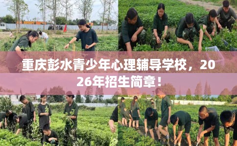 重庆彭水青少年心理辅导学校，2026年招生简章！