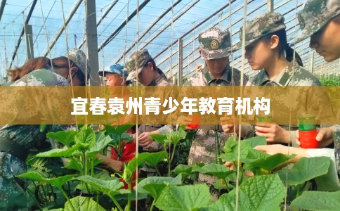 宜春袁州青少年教育机构