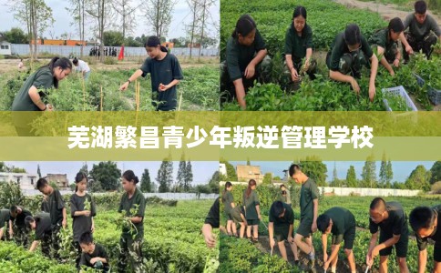 芜湖繁昌青少年叛逆管理学校