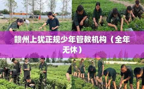 赣州上犹正规少年管教机构（全年无休）