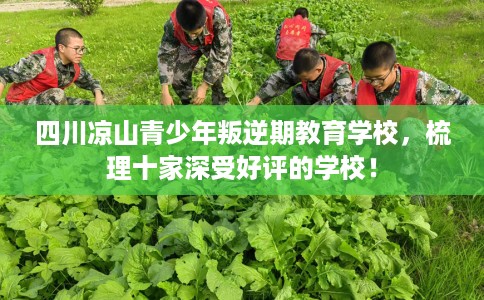 四川凉山青少年叛逆期教育学校，梳理十家深受好评的学校！