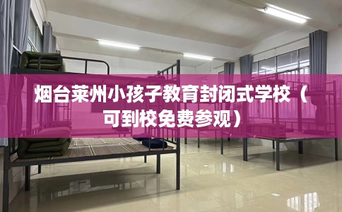 烟台莱州小孩子教育封闭式学校（可到校免费参观）