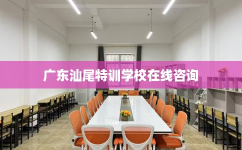 广东汕尾特训学校在线咨询