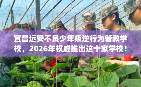 宜昌远安不良少年叛逆行为管教学校，2026年权威推出这十家学校！