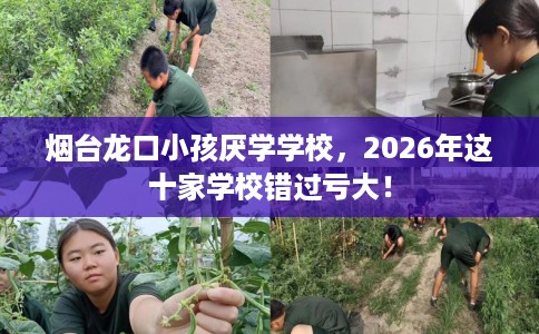 烟台龙口小孩厌学学校，2026年这十家学校错过亏大！