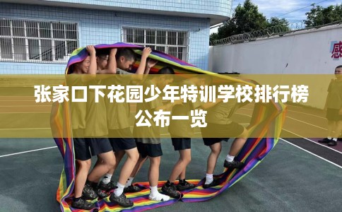 张家口下花园少年特训学校排行榜公布一览