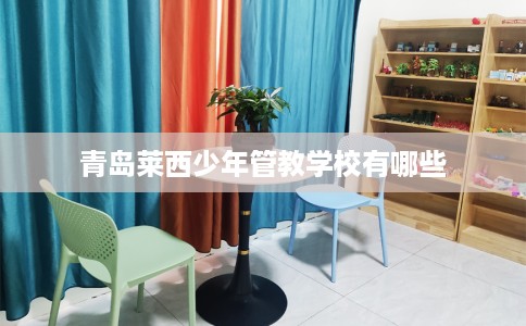 青岛莱西少年管教学校有哪些