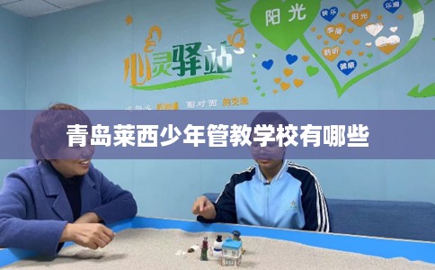 青岛莱西少年管教学校有哪些