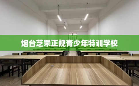 烟台芝罘正规青少年特训学校