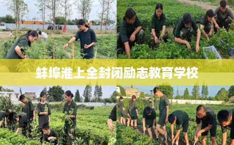 蚌埠淮上全封闭励志教育学校