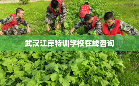 武汉江岸特训学校在线咨询