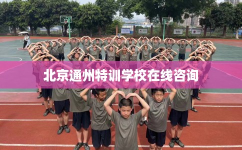 北京通州特训学校在线咨询