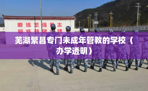 芜湖繁昌专门未成年管教的学校（办学透明）
