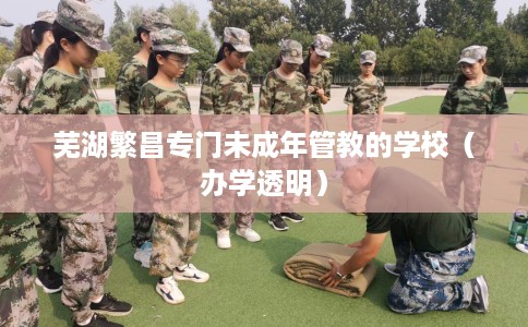 芜湖繁昌专门未成年管教的学校（办学透明）